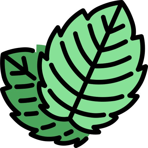 Organic Mentha piperita oil