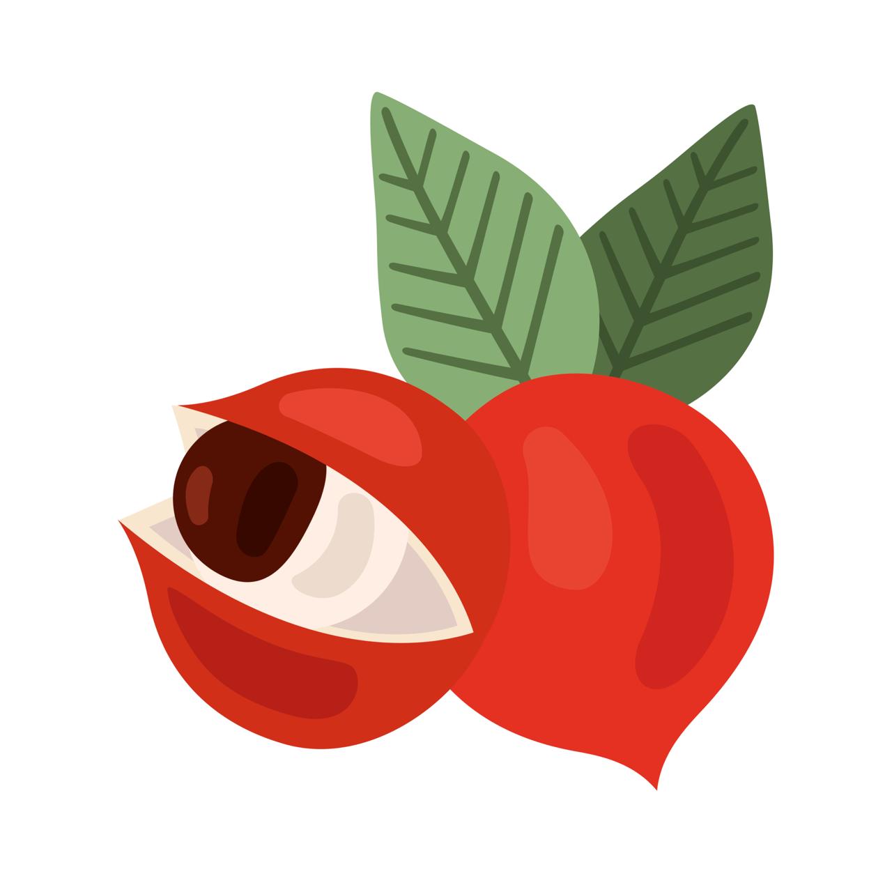 Organic Guarana powder