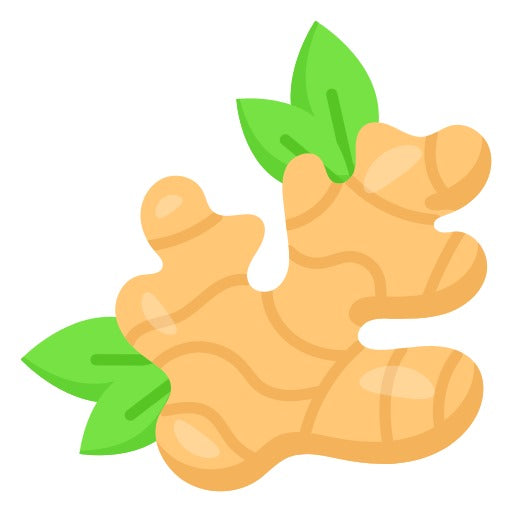 Organic Zingiber Officinale